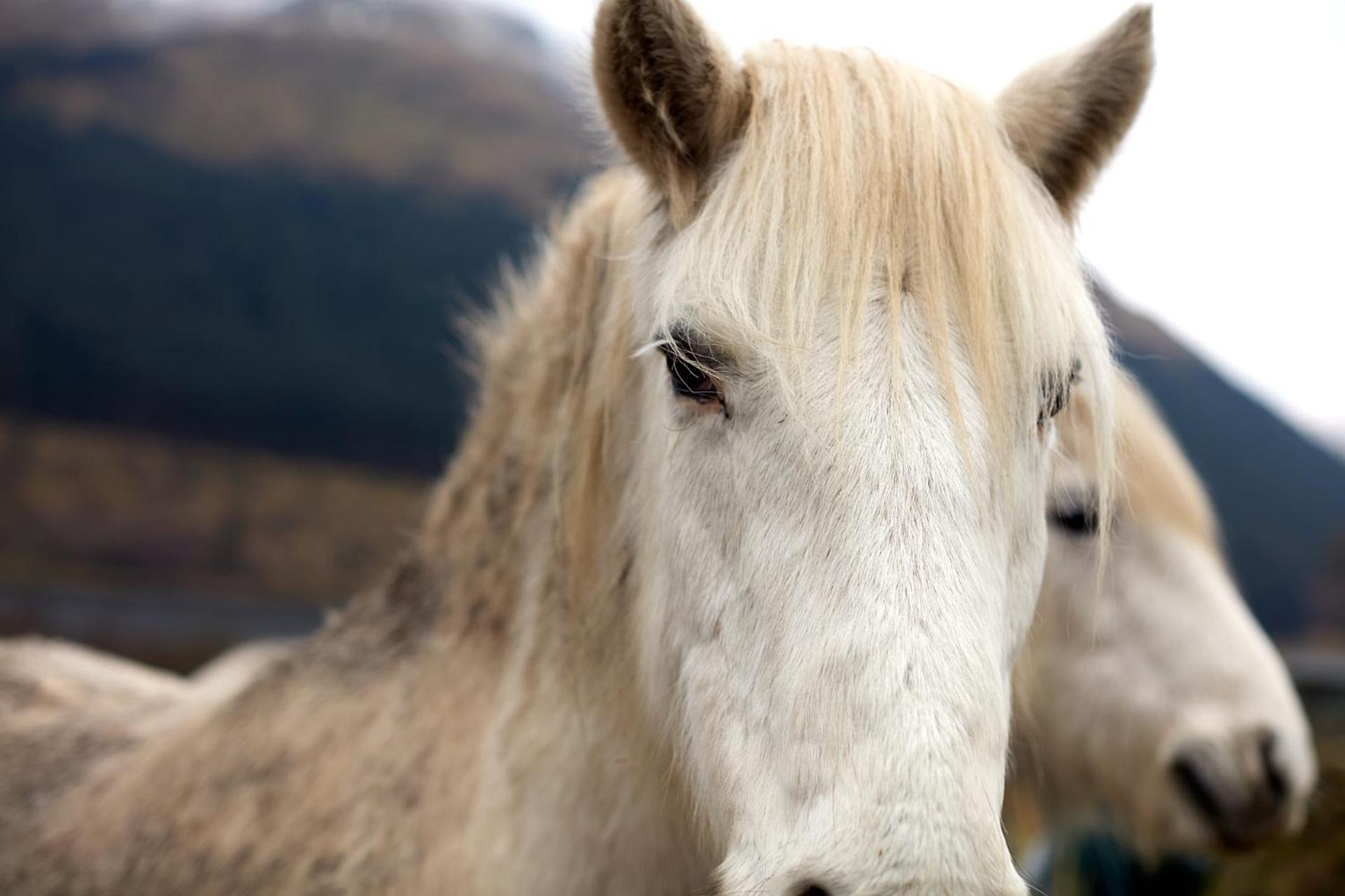 Monachyle Mhor Hotel Lochearnhead Eksteriør bilde